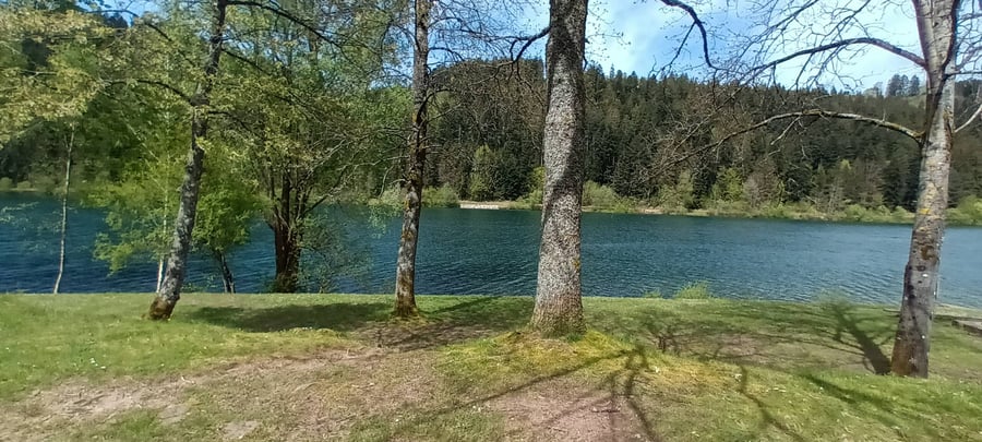  Nagoldtalsperre