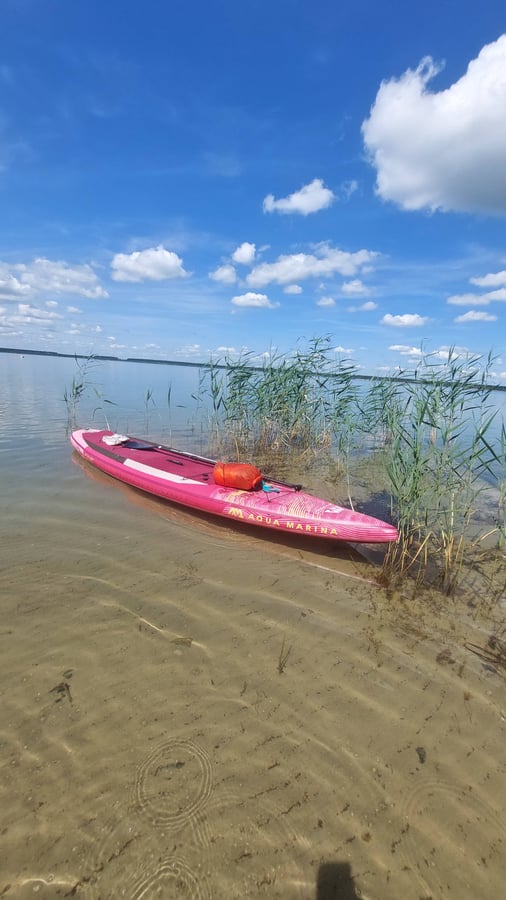 Partwitzer see