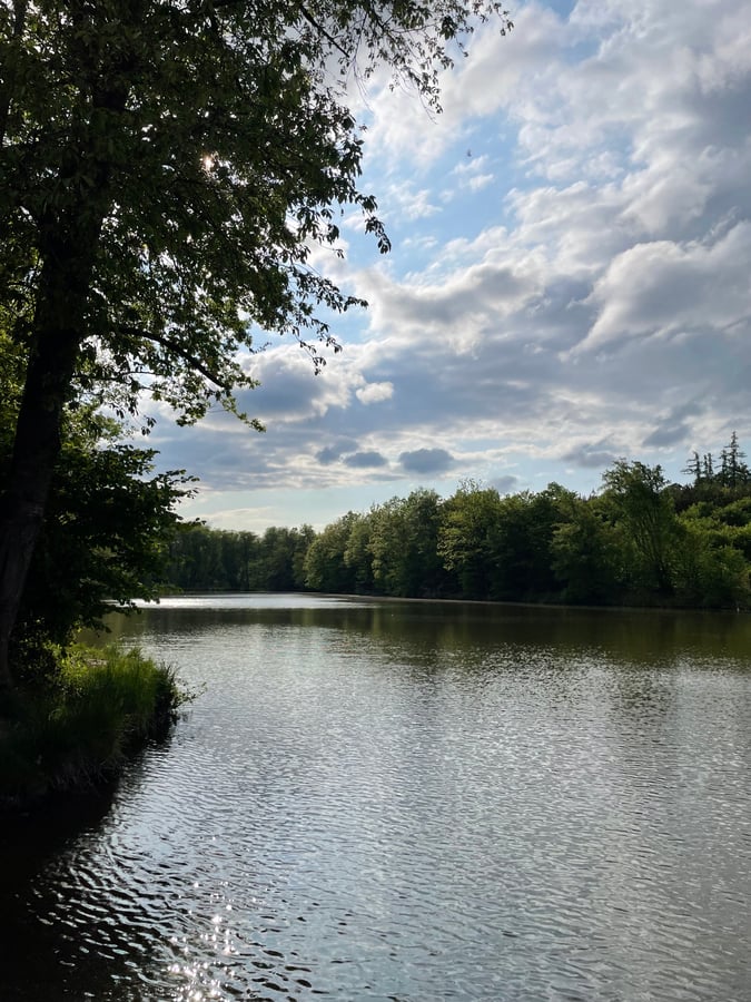 Prostřední rybník