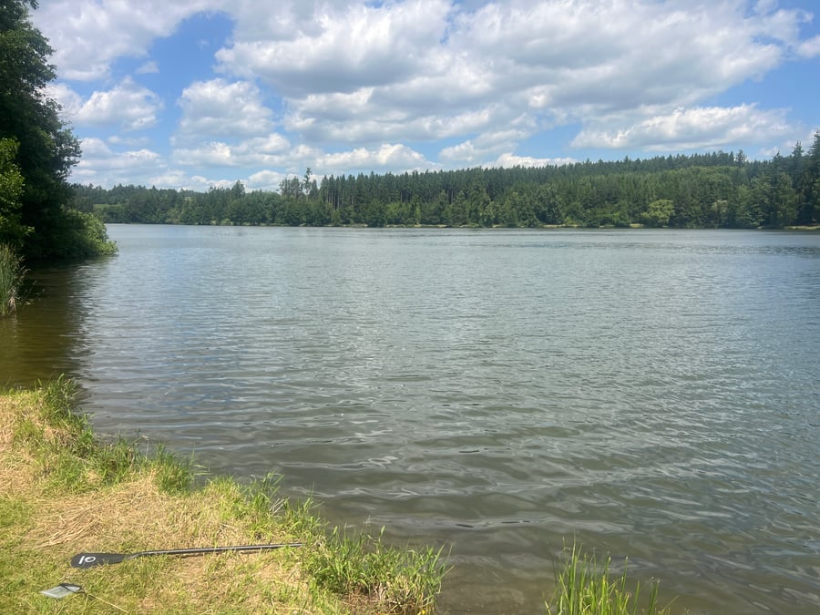 Rybník 