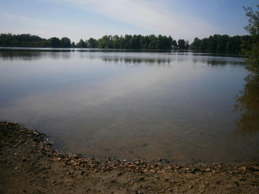 Novorolský rybník