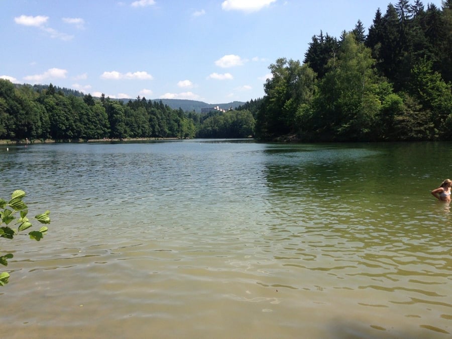Starý Harcov