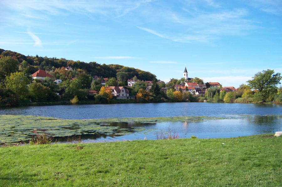 Libocký rybník