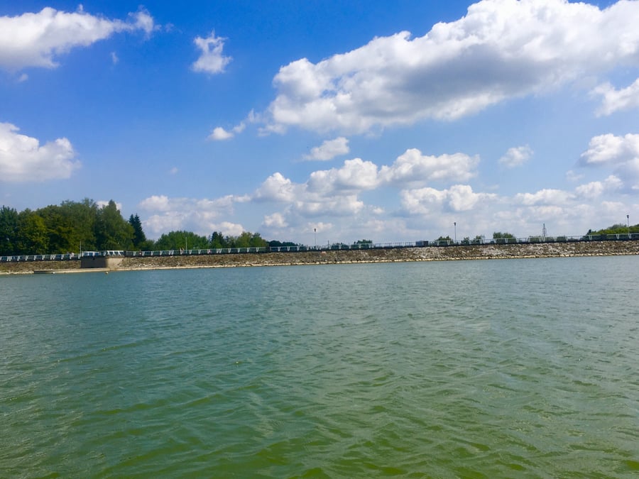 Olešná