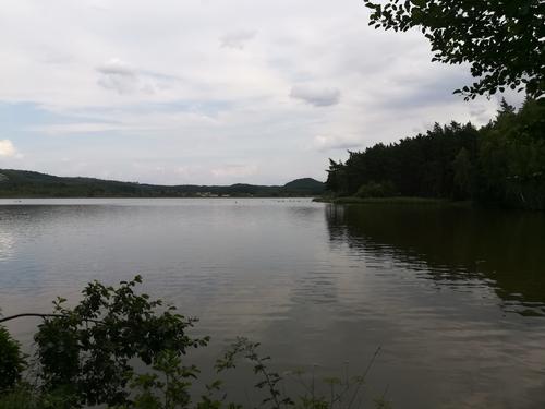 Komárovský rybník - Branžež