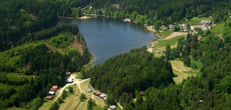 Zvůle