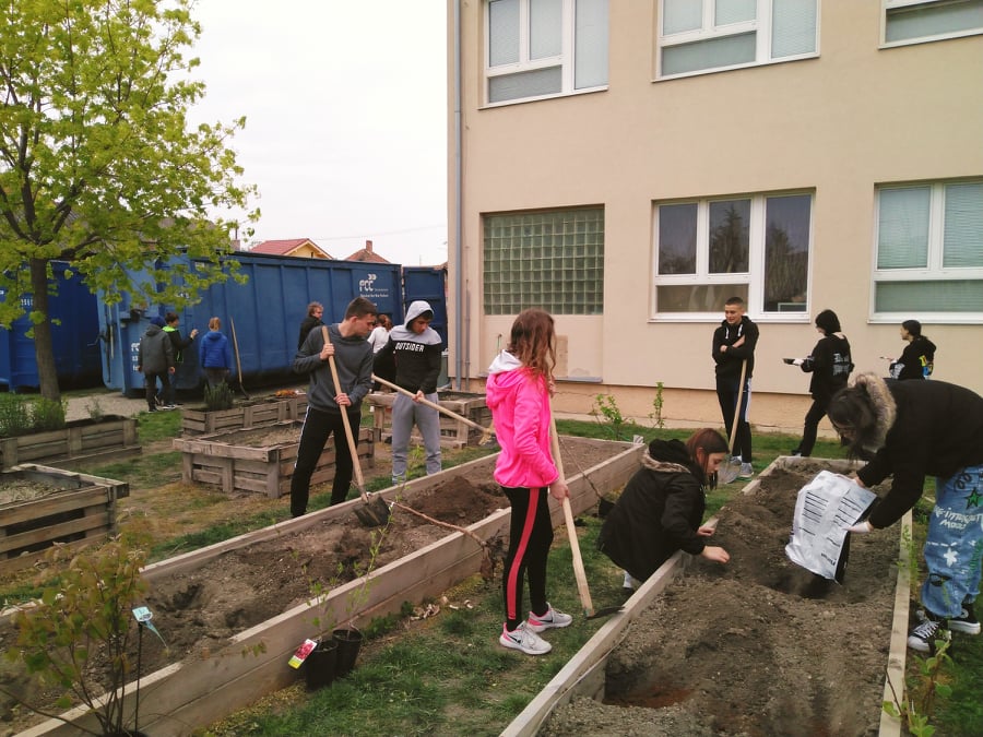Kóczán Mór Alapiskola és Óvoda, Csallóközaranyos
