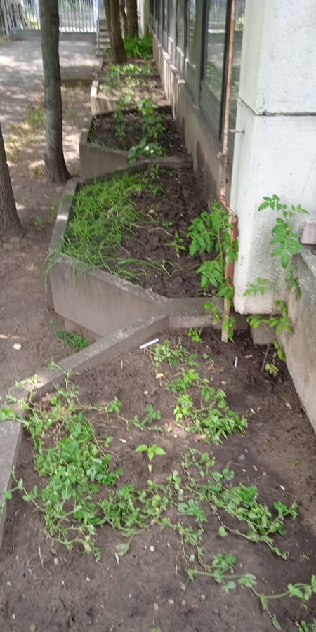 BGSZC Keleti Károly Közgazdasági Technikum
