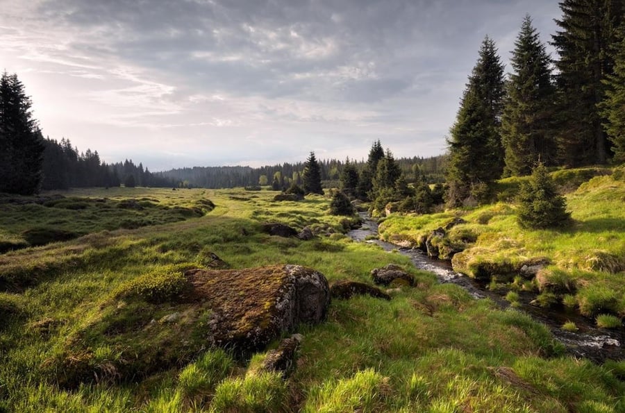 Národní park Šumava
