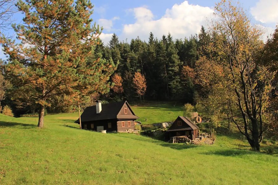 Klid na samotě u lesa