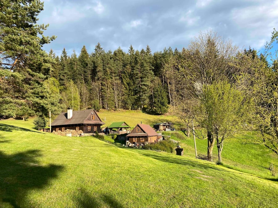 Klid na samotě u lesa