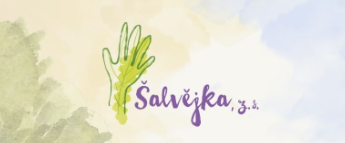 Dětský lesní klub - Šalvějka, z.s.