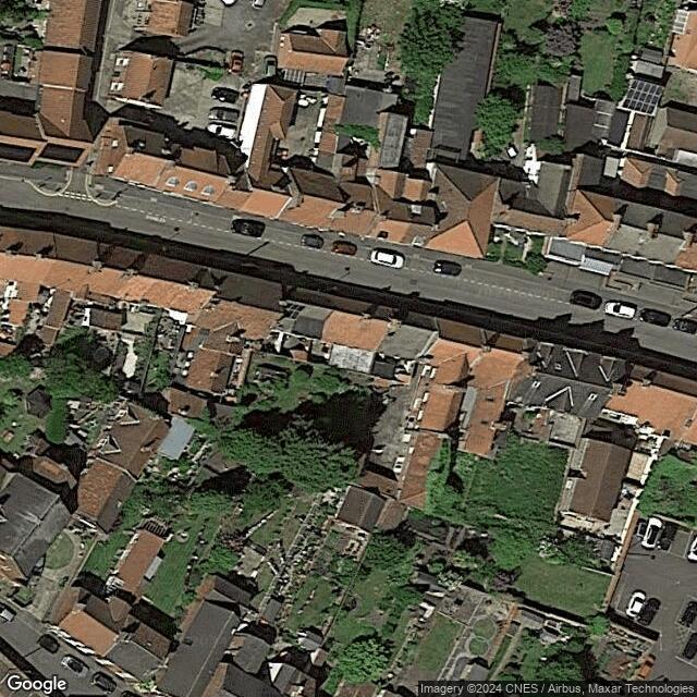 Deaf Tattoo Artis - Lone Bee