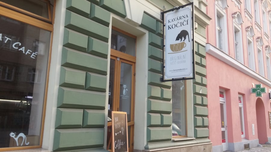Kavárna Kočičí