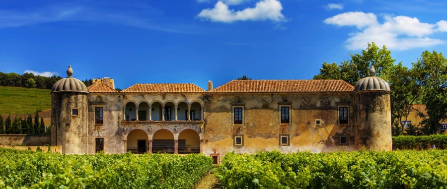 Quinta e Palácio da Bacalhôa 