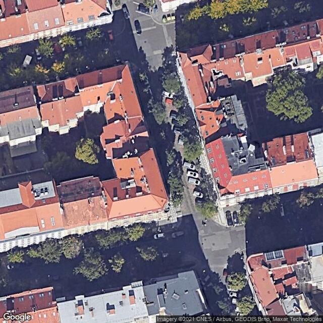 Jeřáb muk (Sorbus aria 'Magnifica')