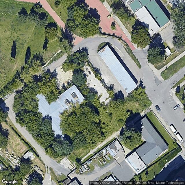 Třešeň ptačí plnokvětá (Prunus avium 'Plena' )