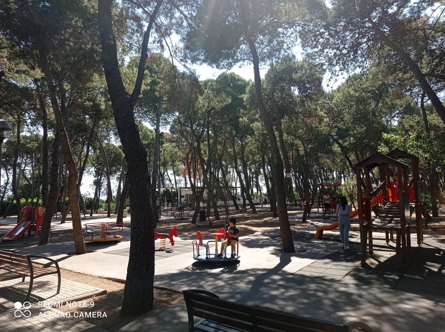 pineta comunale 