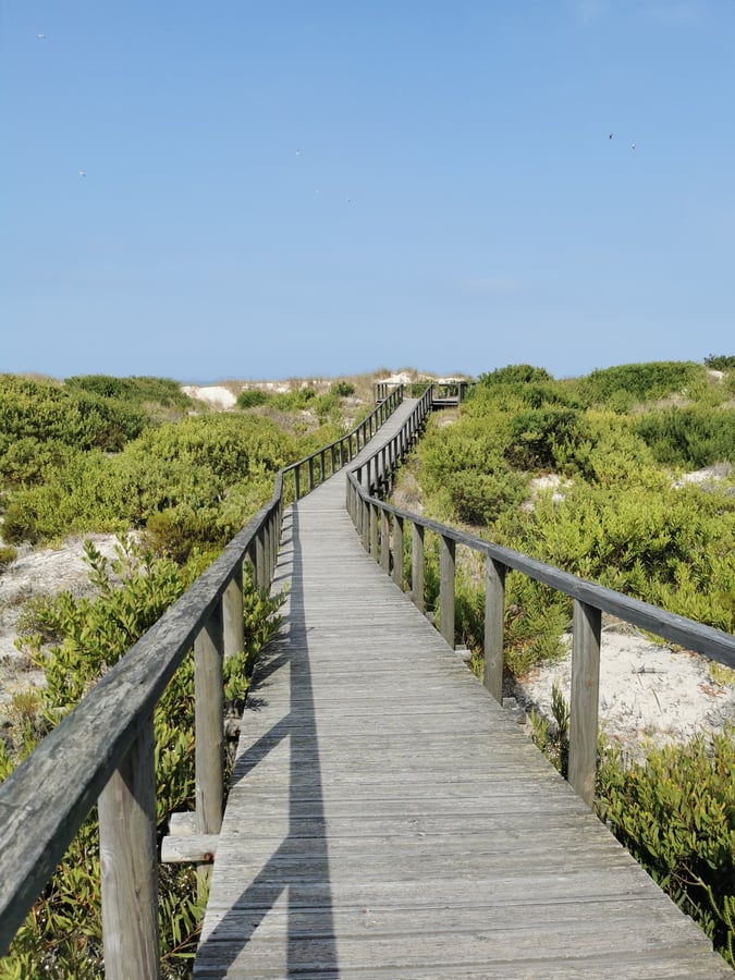 Dunas de S. Jacinto Nature Reserve - entrance