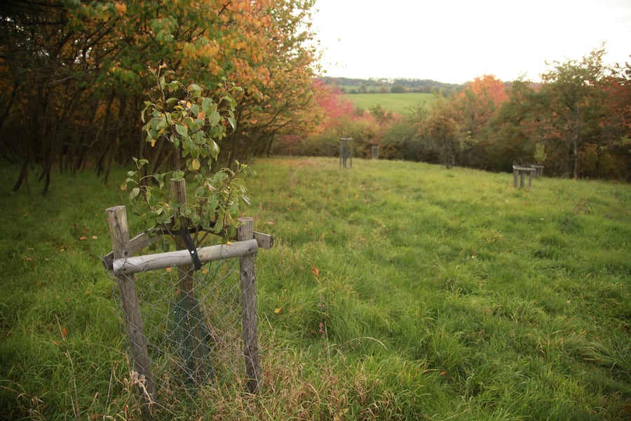 Sady v čimickém údolí