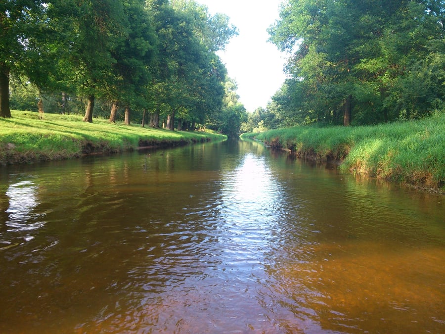 Suchdol nad Lužnicí