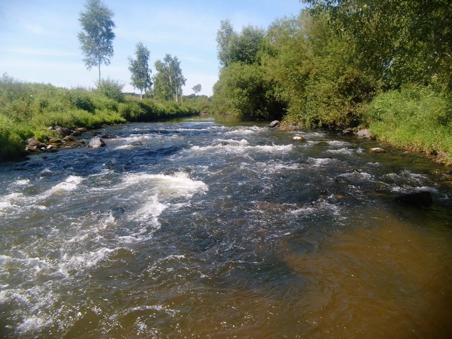 Peřej