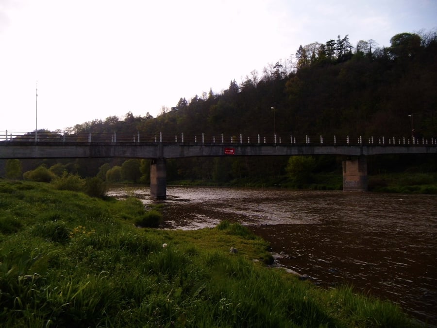 Pikovice