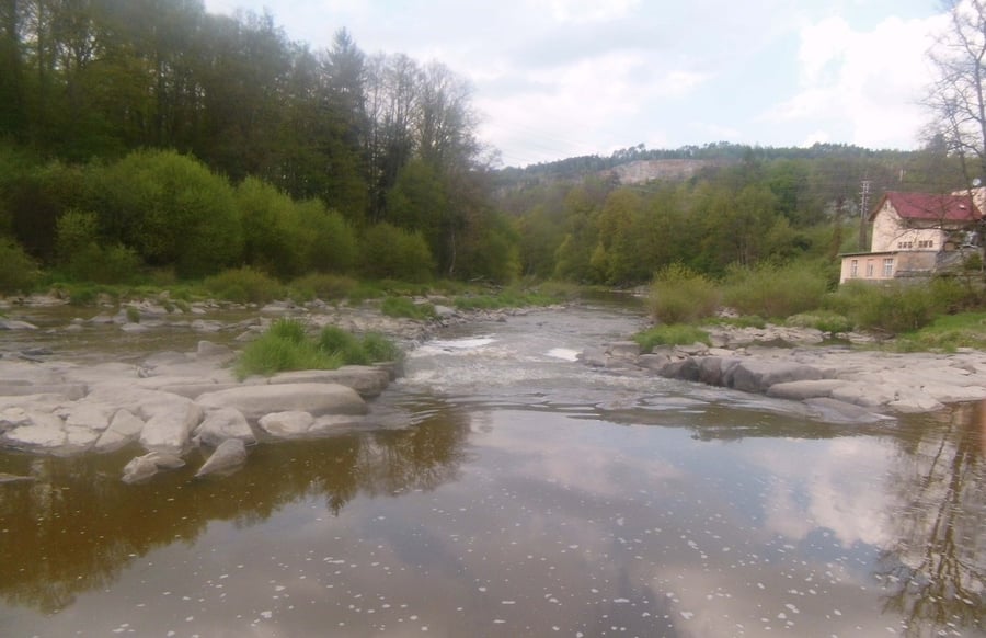 Pěnkava