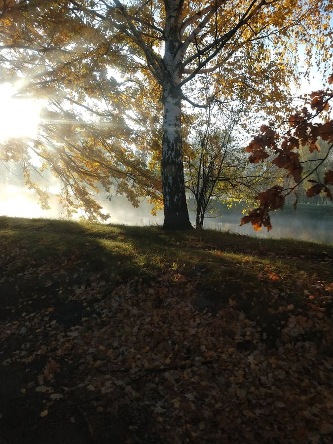 Stromovka - Grill Bod 3