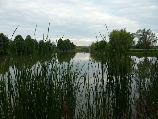 Hrnčířské louky - Přírodní památka