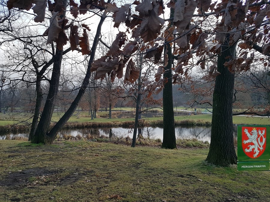 Královská obora (Stromovka) - Přírodní památka