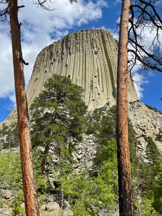 Devils Tower National Monument WY