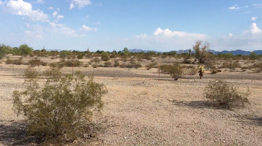 Sonoran Desert National Monument AZ