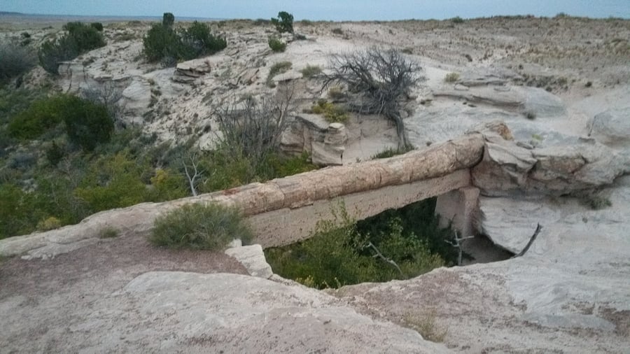 Petrified Forest National Park AZ