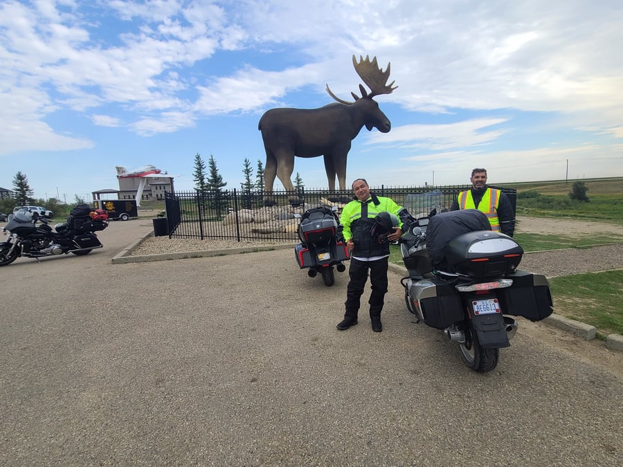 Mac the Moose | Worlds Largest Moose SK