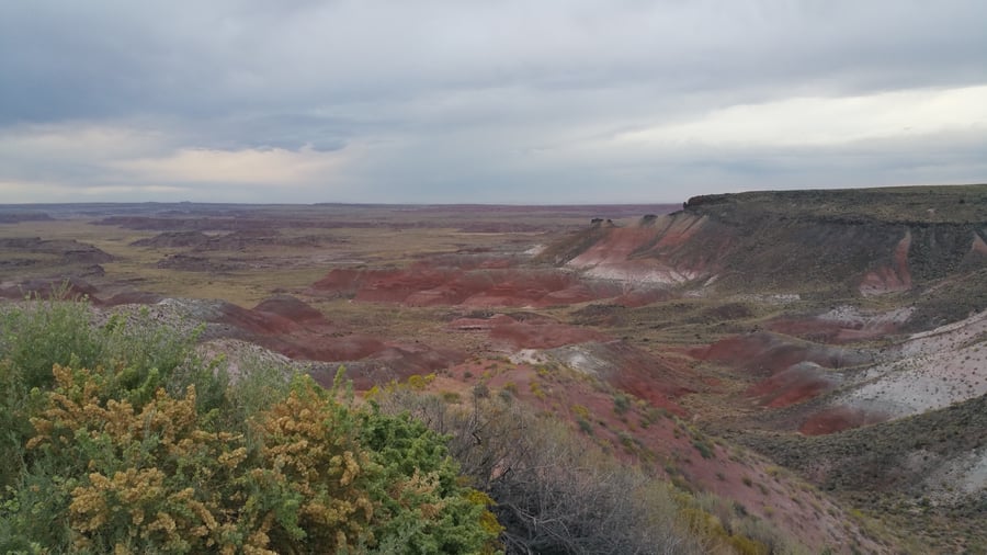 Painted Desert AZ