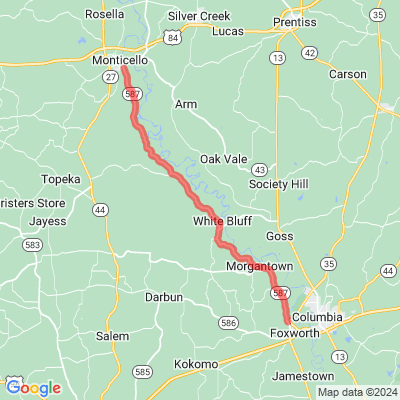 MS 587 | Red Bluff | Lizard