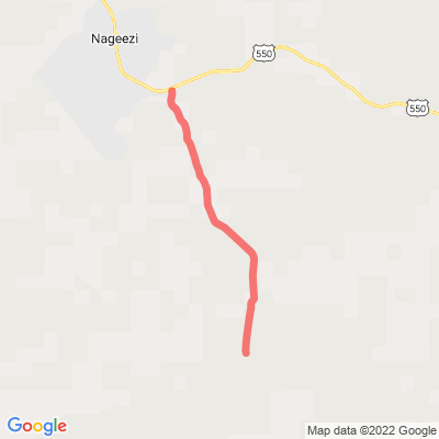 NM 7900 CR