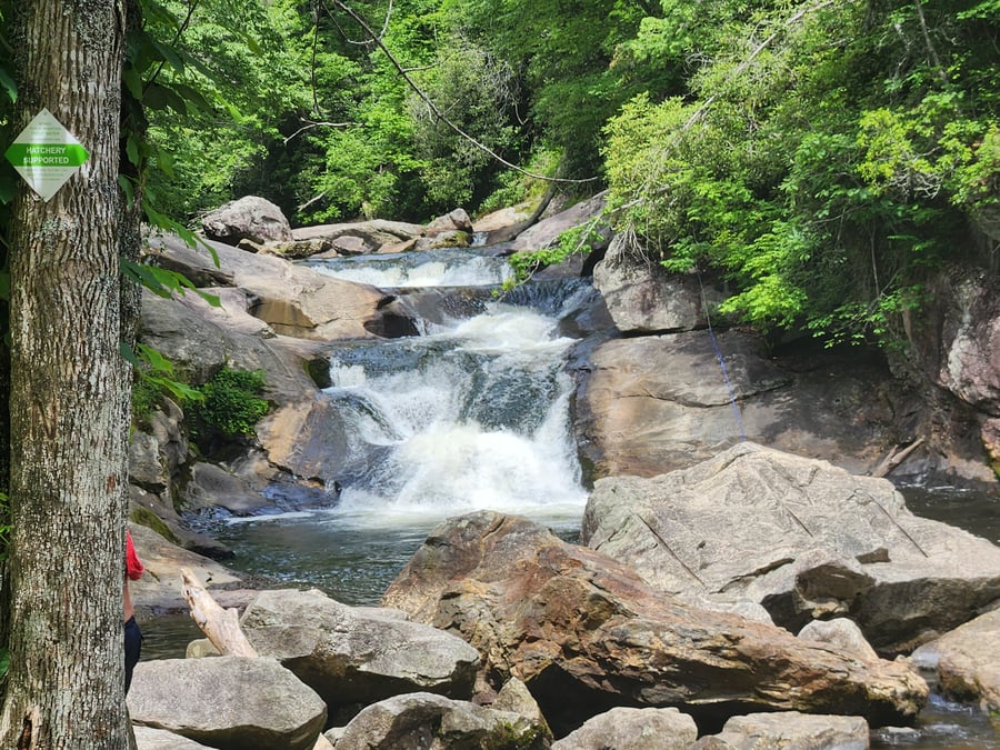 Bust Your Butt Falls NC