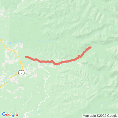 WA Upper Hoh Rd