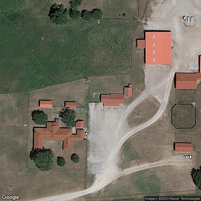 Bison Loop At Tallgrass Prairie Preserve OK
