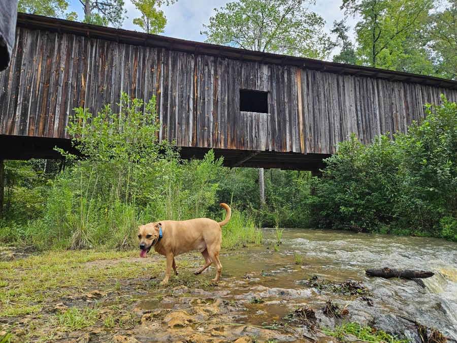 Coheelee Creek Covered Bridge GA