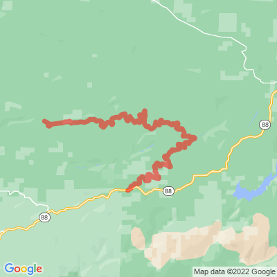 CA Cat Creek Rd