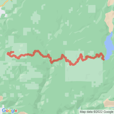 CA Forest Route 1n04