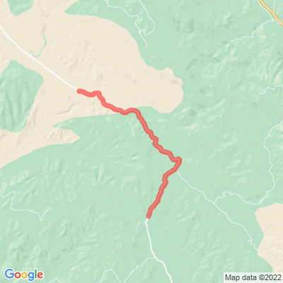 CA Peach Tree Rd