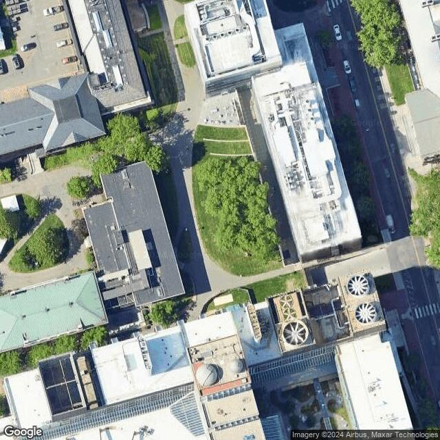 Harvard University MA