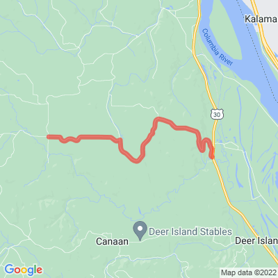 OR Tide Creek Rd