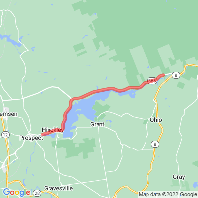 NY 365