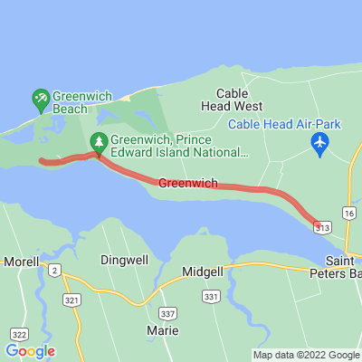 PE 313 Greenwich Pei NP