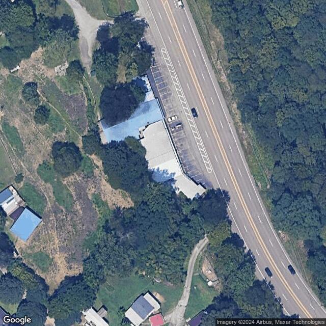 Large Chicken Statue | Ciderville Music Store TN
